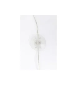 Lampa podłogowa CALOTTA chromowana