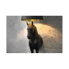 Lampa podłogowa Koń Horse Black Beauty czarna