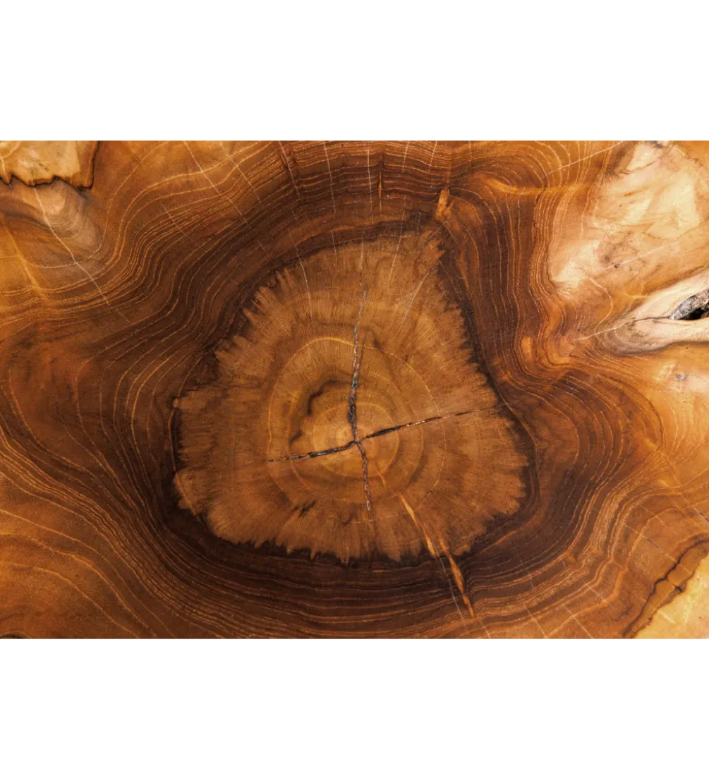 Stolik kawowy ROOT 70 cm drewno teak naturalny