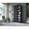 Szafa przesuwna PRESCCO II z lustrem 120 cm czarny