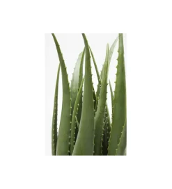 Sztuczna roślina ALOES 69 cm