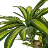 Sztuczna roślina DRACAENA 140 cm