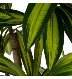 Sztuczna roślina drzewo DRACAENA 200 cm