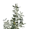 Sztuczna roślina OLIWKA 112 cm