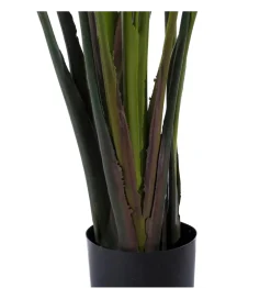 Sztuczna roślina PARAISO 245 cm